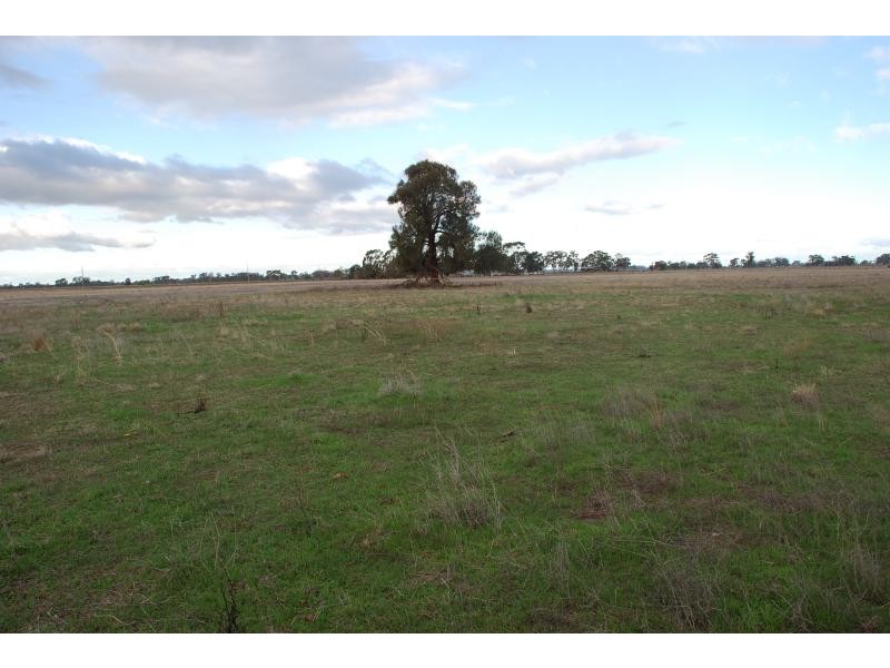 80 Kerrs Road, Bunbartha VIC 3634