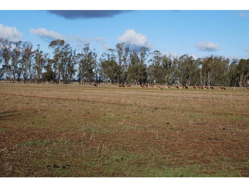 80 Kerrs Road, Bunbartha VIC 3634