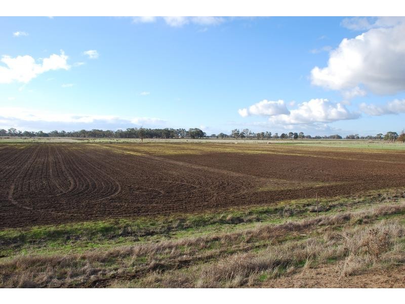 80 Kerrs Road, Bunbartha VIC 3634