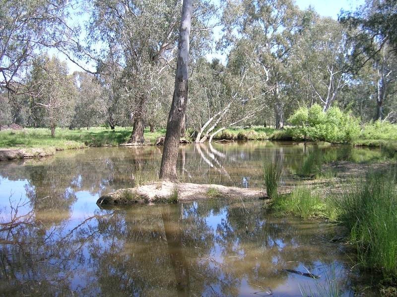 2014 Great Alpine Road, Everton VIC 3678