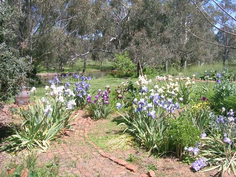 2014 Great Alpine Road, Everton VIC 3678