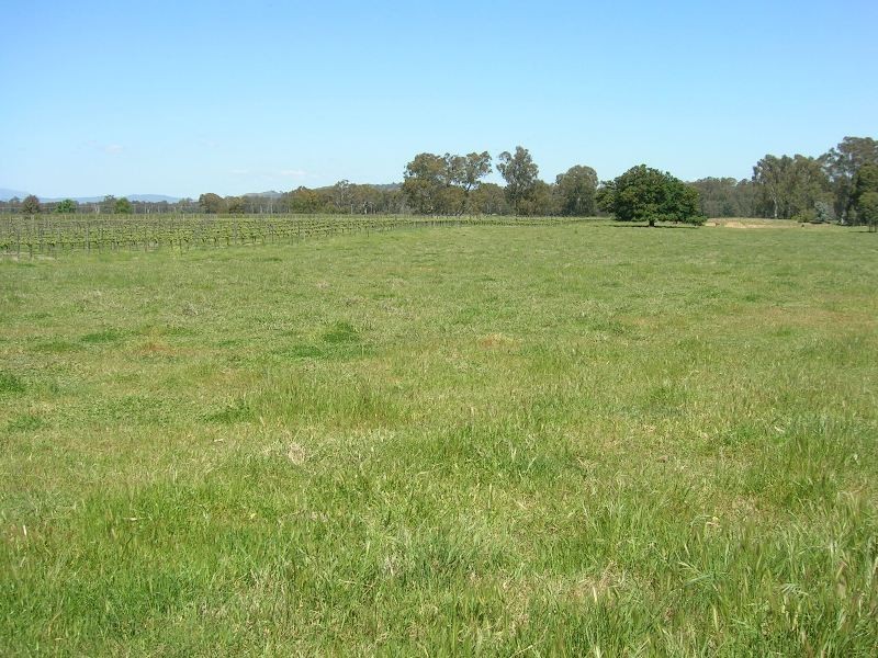 2014 Great Alpine Road, Everton VIC 3678