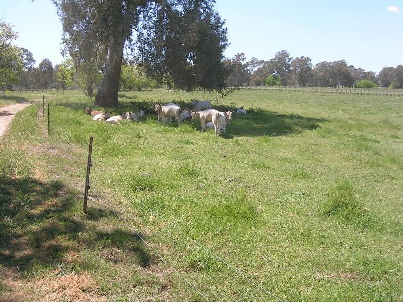 2014 Great Alpine Road, Everton VIC 3678