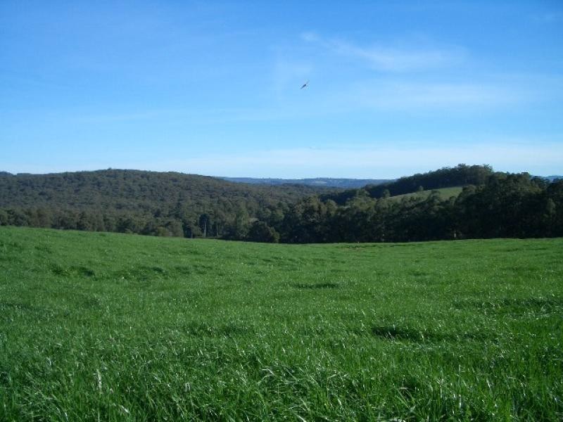 550 Beenak Road, Yellingbo VIC 3139