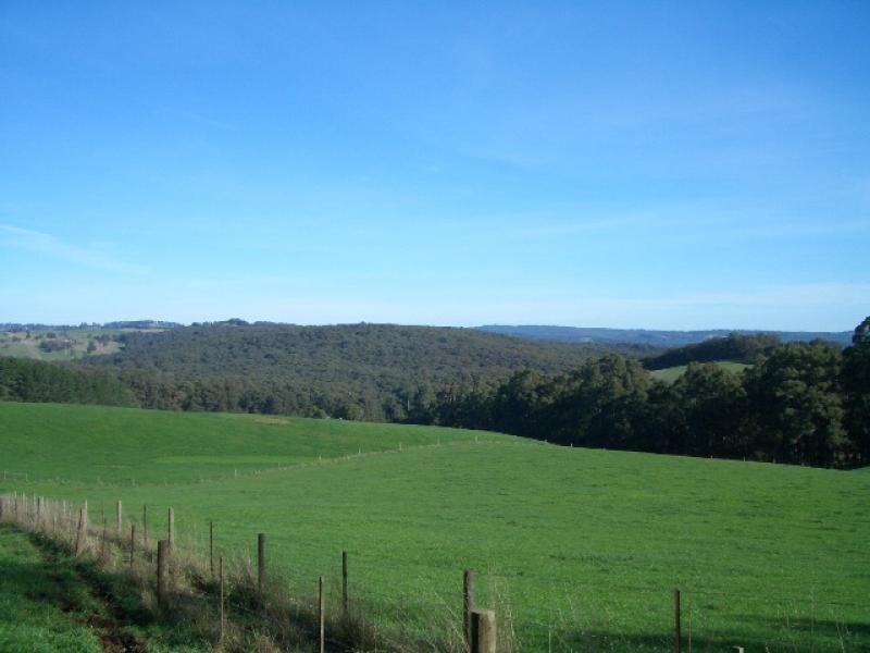 550 Beenak Road, Yellingbo VIC 3139