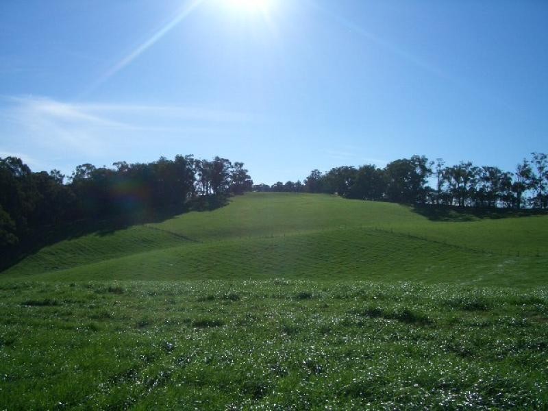 550 Beenak Road, Yellingbo VIC 3139