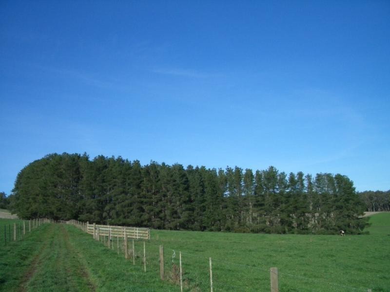 550 Beenak Road, Yellingbo VIC 3139