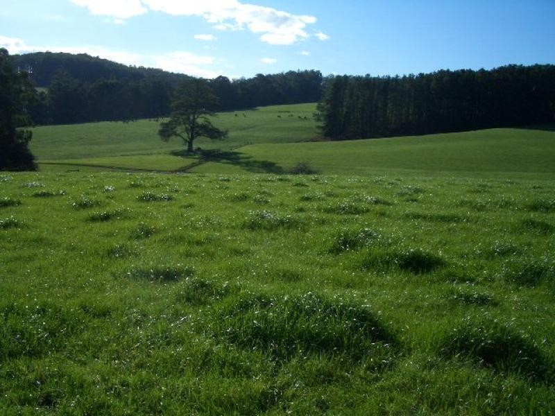 550 Beenak Road, Yellingbo VIC 3139