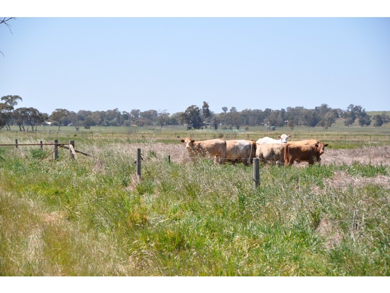 575 Lane Road, Katandra VIC 3634