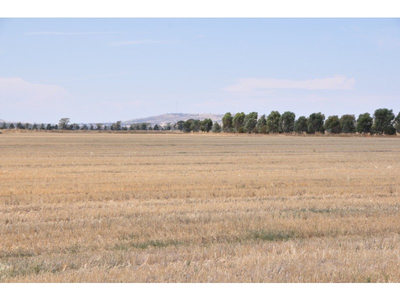 1260 Sidebottoms Road, Pine Lodge VIC 3631