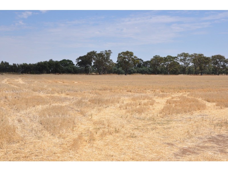 1260 Sidebottoms Road, Pine Lodge VIC 3631