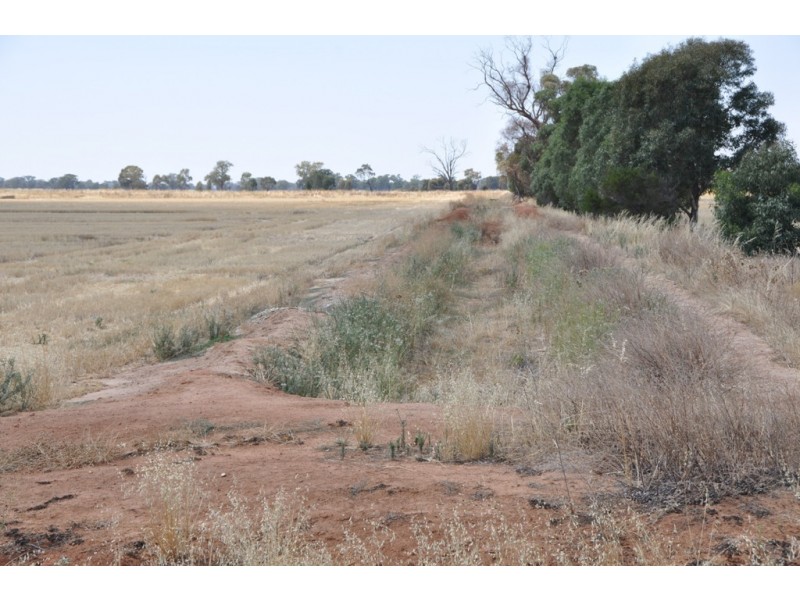 1260 Sidebottoms Road, Pine Lodge VIC 3631