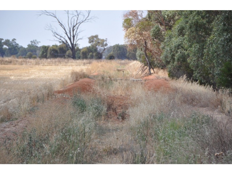 1260 Sidebottoms Road, Pine Lodge VIC 3631