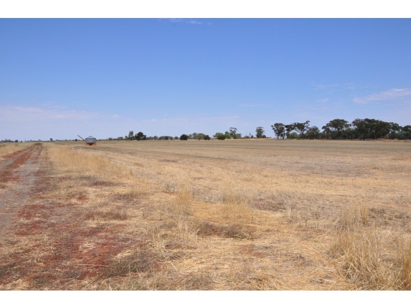 1260 Sidebottoms Road, Pine Lodge VIC 3631