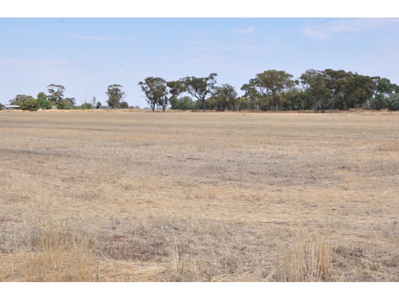 1260 Sidebottoms Road, Pine Lodge VIC 3631