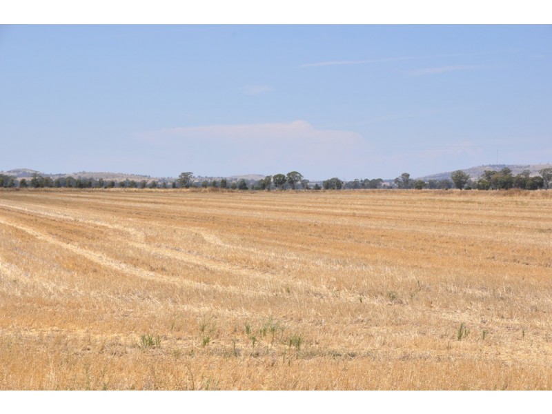 1260 Sidebottoms Road, Pine Lodge VIC 3631