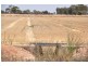 1260 Sidebottoms Road, Pine Lodge VIC 3631