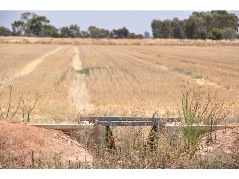 1260 Sidebottoms Road, Pine Lodge VIC 3631