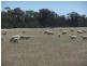 767 Stockham Bridge Road, Kooreh via St Arnaud, St Arnaud VIC 3478