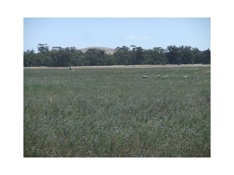 767 Stockham Bridge Road, Kooreh via St Arnaud, St Arnaud VIC 3478
