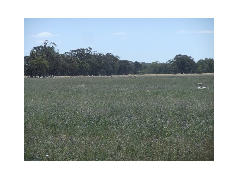 767 Stockham Bridge Road, Kooreh via St Arnaud, St Arnaud VIC 3478