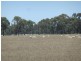 767 Stockham Bridge Road, Kooreh via St Arnaud, St Arnaud VIC 3478