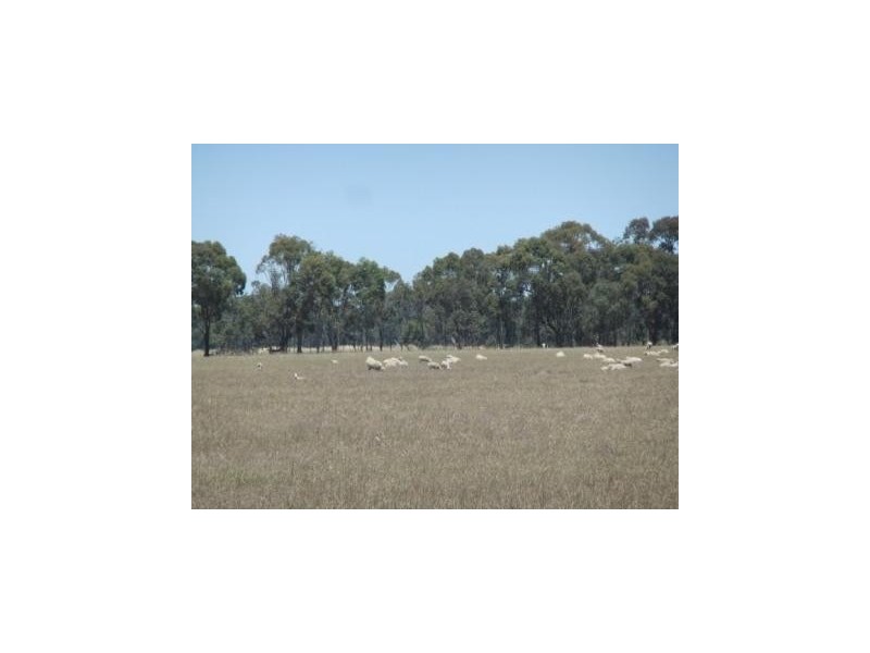 767 Stockham Bridge Road, Kooreh via St Arnaud, St Arnaud VIC 3478