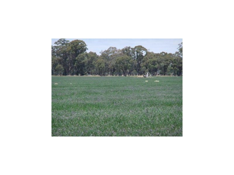767 Stockham Bridge Road, Kooreh via St Arnaud, St Arnaud VIC 3478