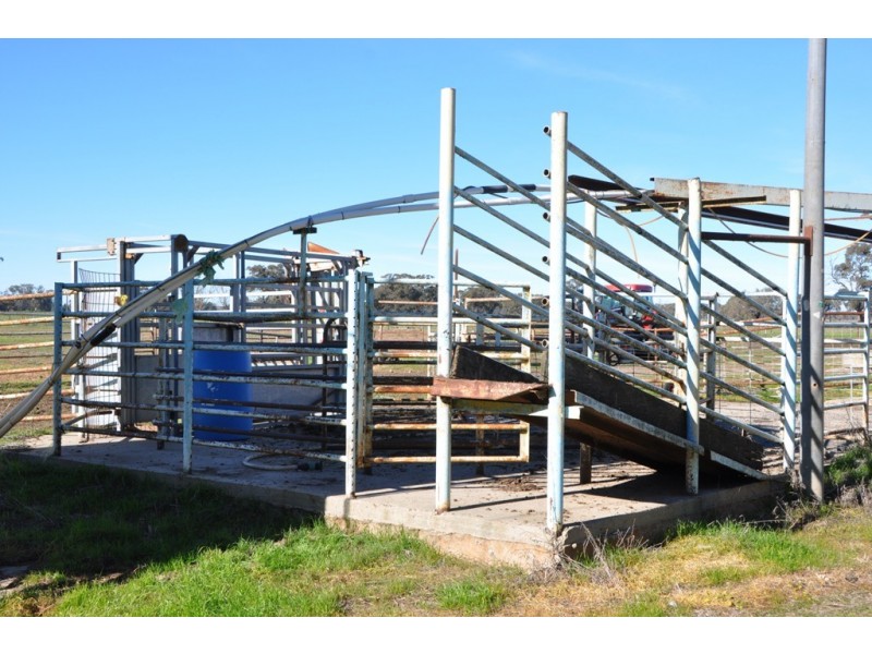 53 Brittain Rd, Numurkah VIC 3636