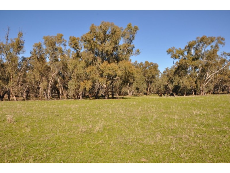 53 Brittain Rd, Numurkah VIC 3636