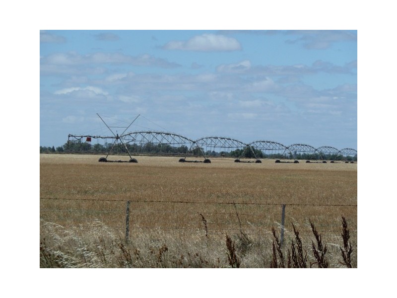 NA Mt Terrick and Kotta Road Roslynmede, Echuca VIC 3564
