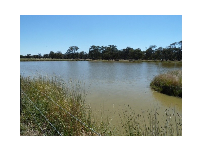 1411 Lowrie Road, Bamawm VIC 3561