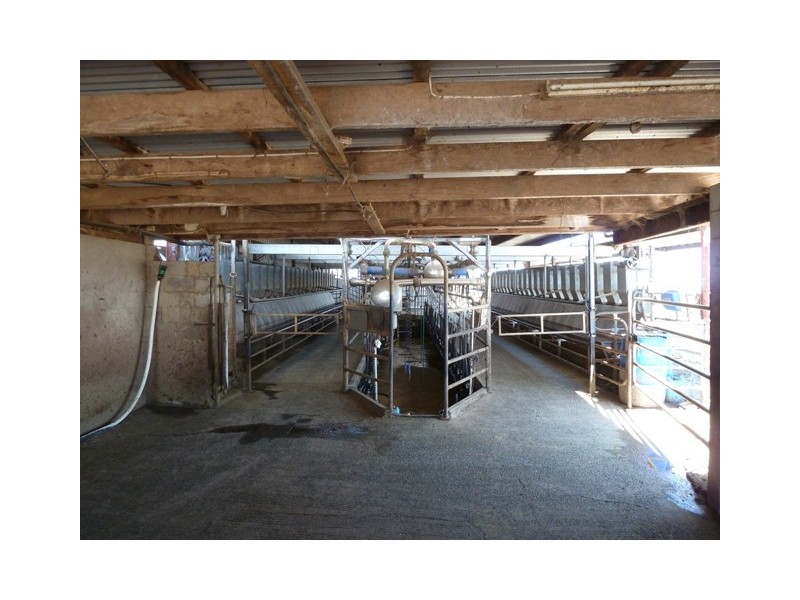 1411 Lowrie Road, Bamawm VIC 3561