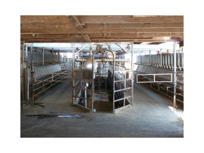 1411 Lowrie Road, Bamawm VIC 3561