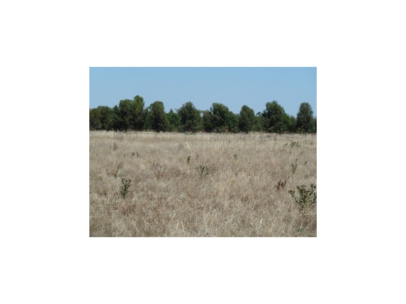 8686 MURRAY VALLEY HIGHWAY, Echuca VIC 3564