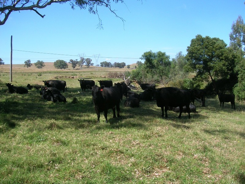 1 – 3 Crusoe Lane, Alexandra VIC 3714