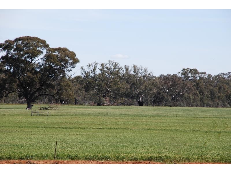 2871 Katamatite-Yarrawonga Road, Katamatite VIC 3649