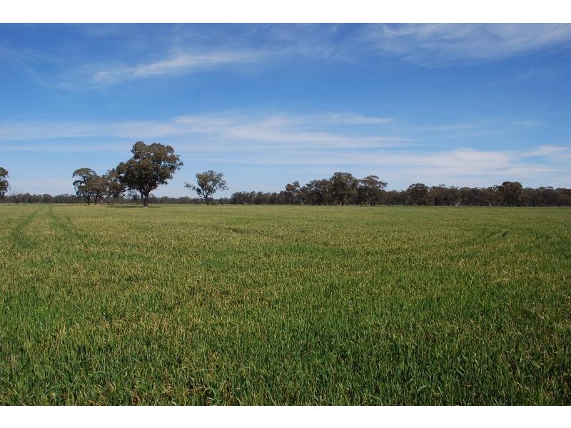 2871 Katamatite-Yarrawonga Road, Katamatite VIC 3649