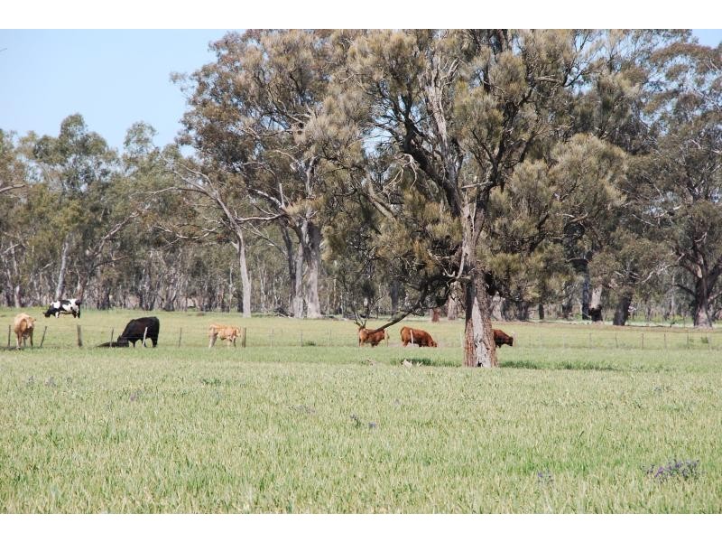 2871 Katamatite-Yarrawonga Road, Katamatite VIC 3649