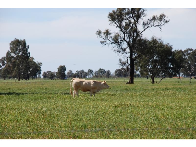 2871 Katamatite-Yarrawonga Road, Katamatite VIC 3649