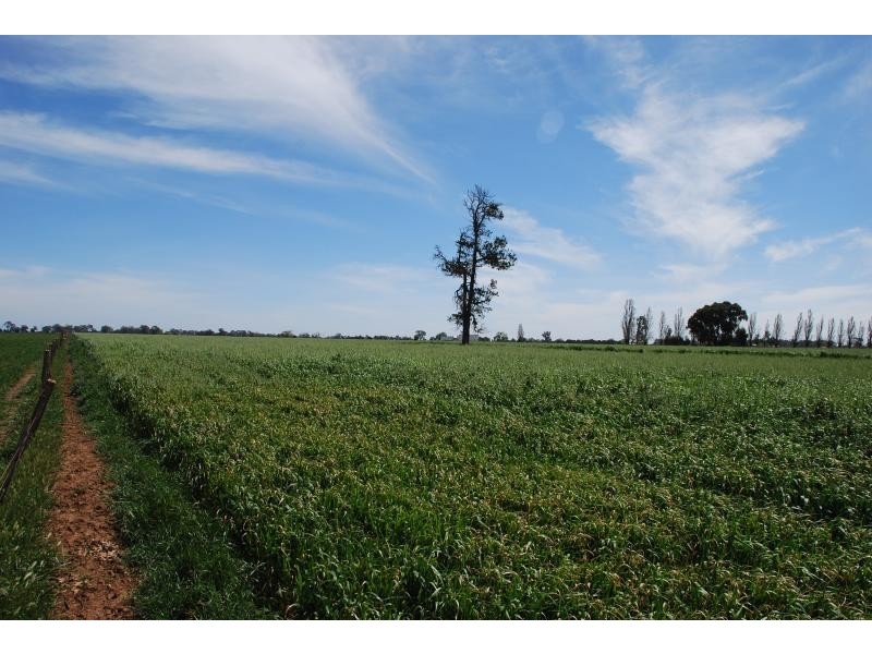 2871 Katamatite-Yarrawonga Road, Katamatite VIC 3649