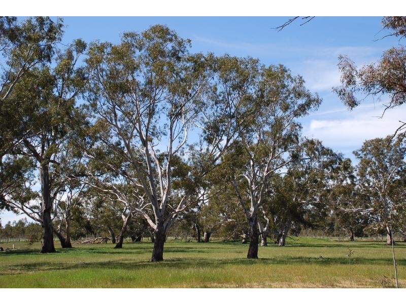 2871 Katamatite-Yarrawonga Road, Katamatite VIC 3649