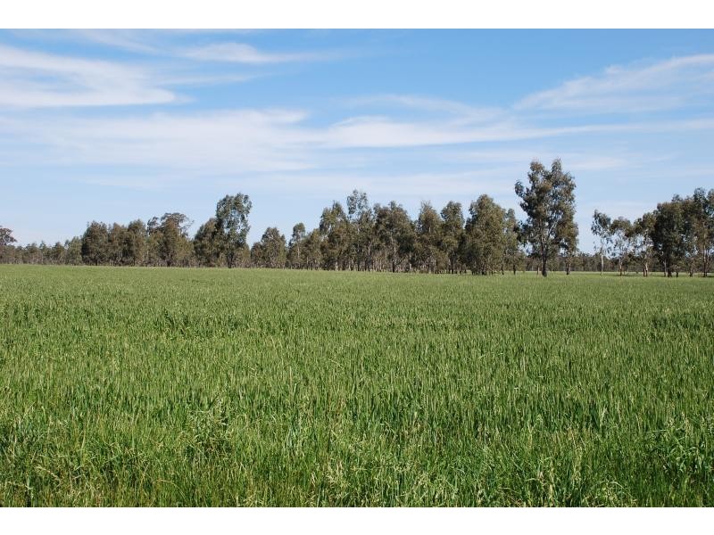 2871 Katamatite-Yarrawonga Road, Katamatite VIC 3649