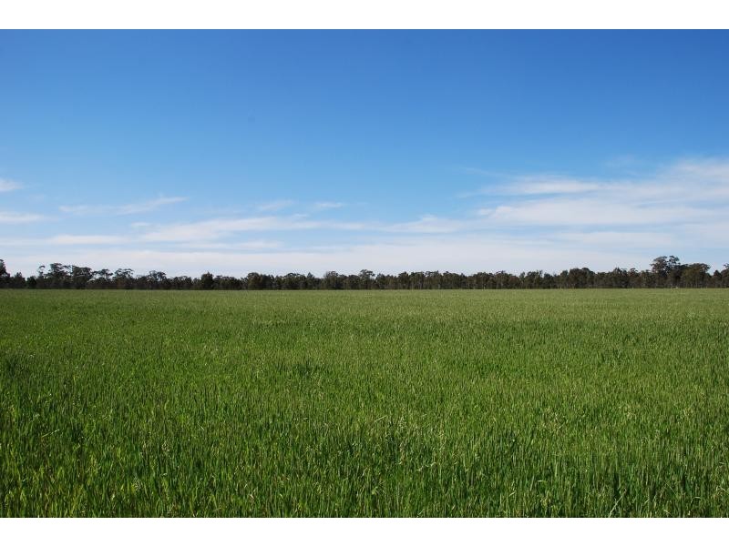 2871 Katamatite-Yarrawonga Road, Katamatite VIC 3649