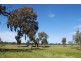 2871 Katamatite-Yarrawonga Road, Katamatite VIC 3649