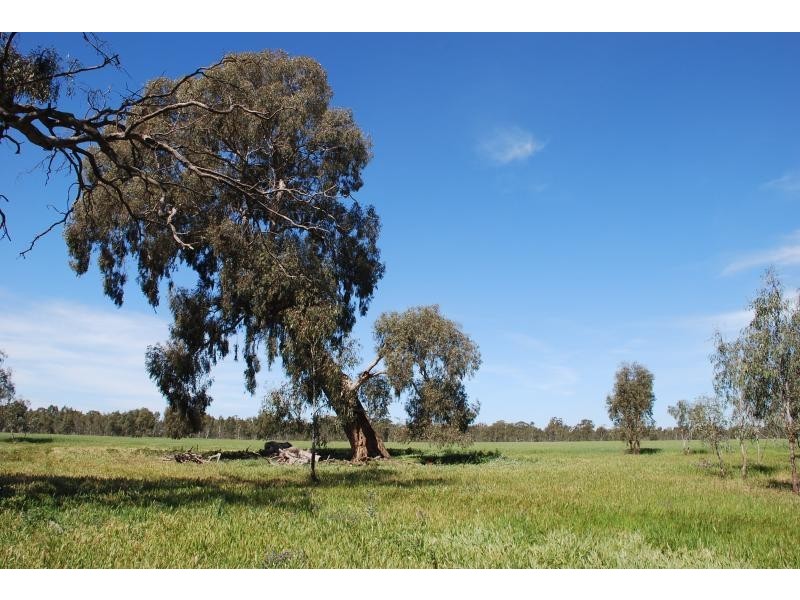 2871 Katamatite-Yarrawonga Road, Katamatite VIC 3649