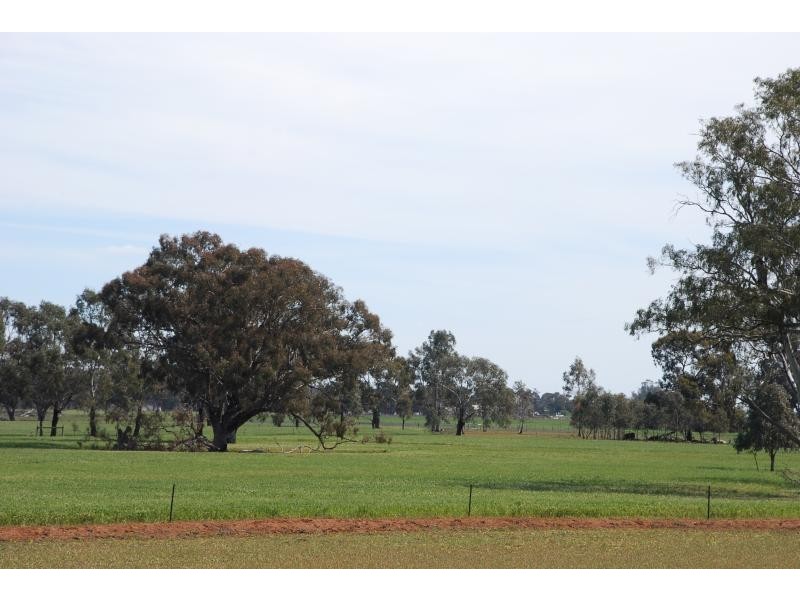 2871 Katamatite-Yarrawonga Road, Katamatite VIC 3649