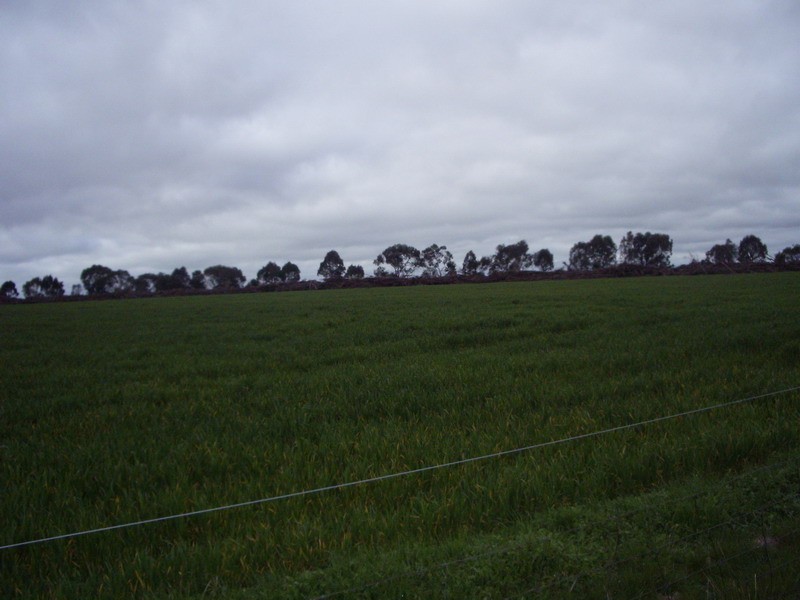 Middle Creek Road, Middle Creek VIC 3375