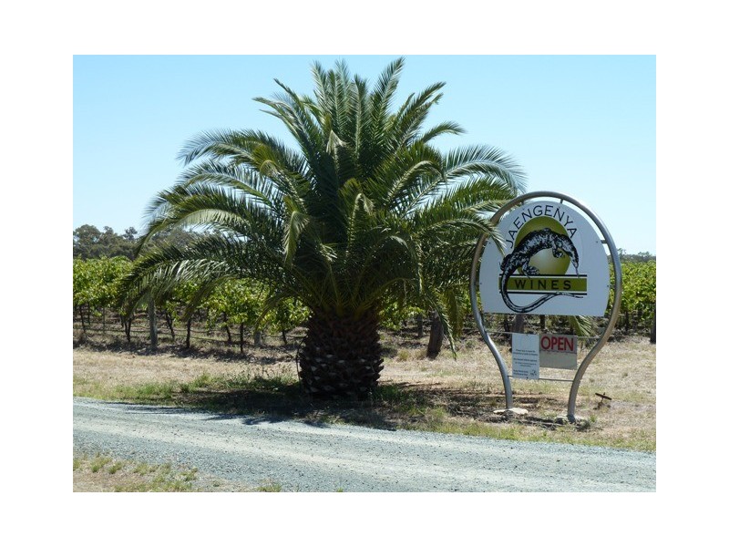 119 Pianta Road, Echuca VIC 3564