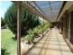 119 Pianta Road, Echuca VIC 3564
